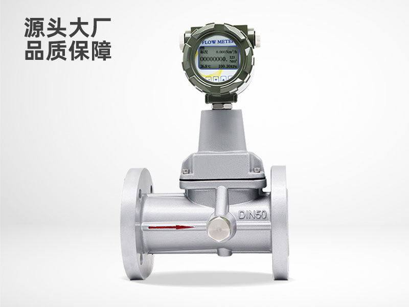 旋進旋渦流量計